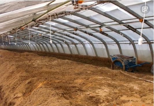 发酵床养鸡缺点分析 发酵床养鸡密度及技术大全