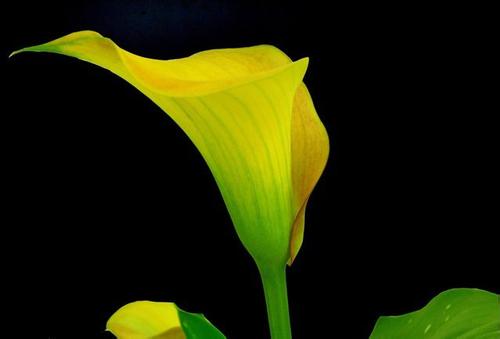 ��������ô�������� ����������ֳ������ע���������Щ����