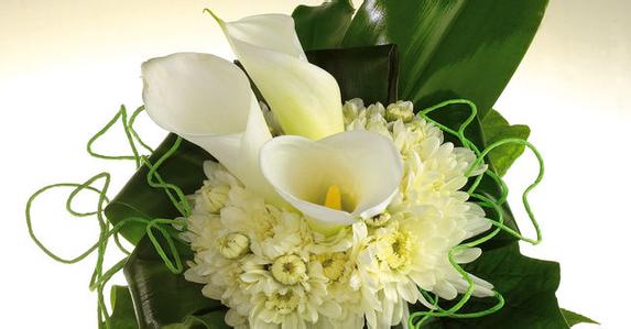 马蹄莲为什么不开花原因怎么办 马蹄莲什么时候开花一年开几次花