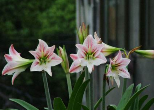 �춥��ʲôʱ�򿪻�  �춥�첻����ʲôԭ��Ӧ����ô��������