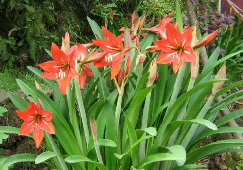 �춥��ʲôʱ�򿪻�  �춥�첻����ʲôԭ��Ӧ����ô��������