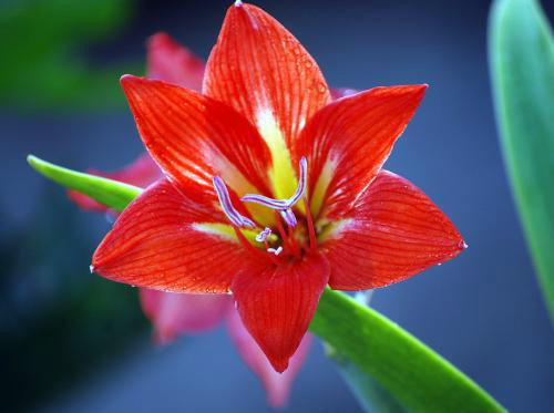 �춥��ʲôʱ�򿪻�  �춥�첻����ʲôԭ��Ӧ����ô��������