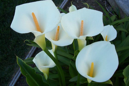 ������ʲôʱ�򿪻� ������Ϊʲô������ԭ�򼰽���취����