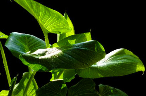 ������ʲôʱ�򿪻� ������Ϊʲô������ԭ�򼰽���취����