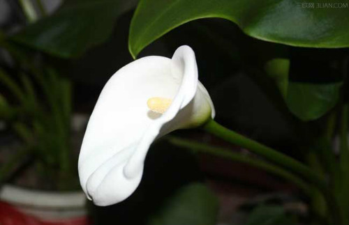 ������ʲôʱ�򿪻� ������Ϊʲô������ԭ�򼰽���취����