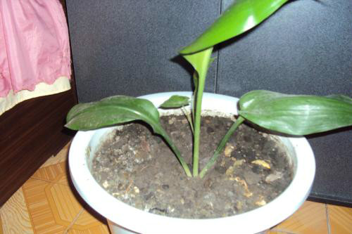 ������ʲôʱ�򿪻� ������Ϊʲô������ԭ�򼰽���취����