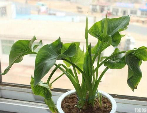 ������ʲôʱ�򿪻� ������Ϊʲô������ԭ�򼰽���취����