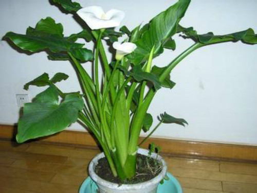 ������ʲôʱ�򿪻� ������Ϊʲô������ԭ�򼰽���취����