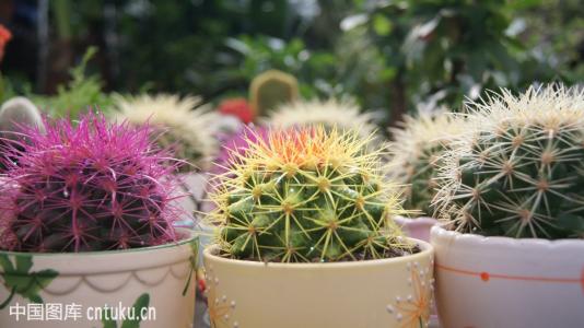 򷢻ôô ײήʲôԭô