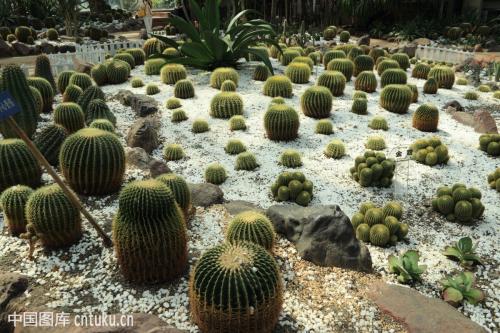 򷢻ôô ײήʲôԭô