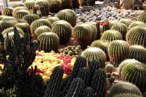 򷢻ôô ײήʲôԭô