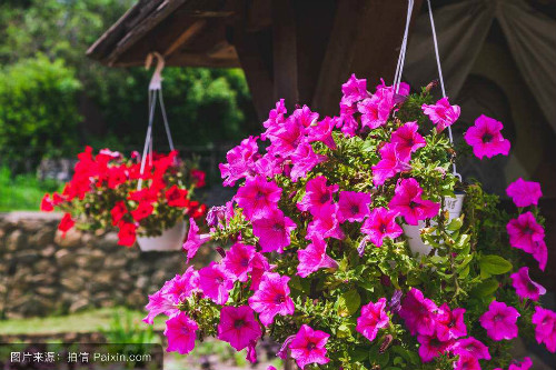 ��ǣţ�ܻ��ڶ��껹������ ��ǣţ��ô������ֳ��������