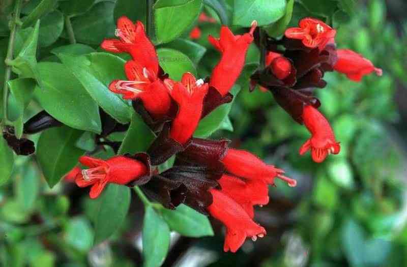 �ں����Ҷ��������ô���� �ں����������ô��һ�ν�����ˮ