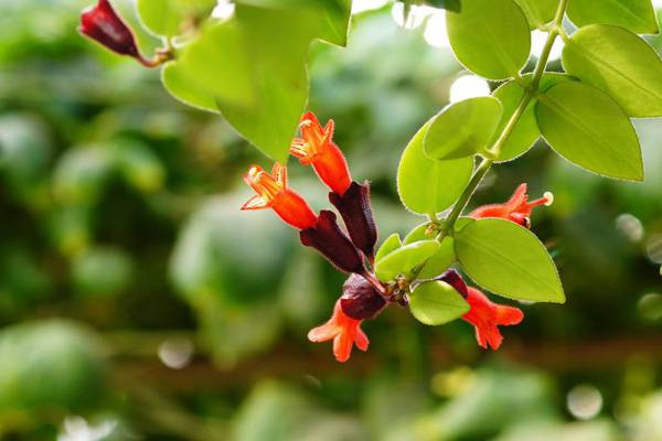 �ں��������ȩ���ж�����Է������� �ں�����Ļ��Ｐ��ˮ�ڷ�