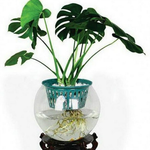 �걳�����ˮ���� ˮ��걳�������������Ҷ�ӷ�������