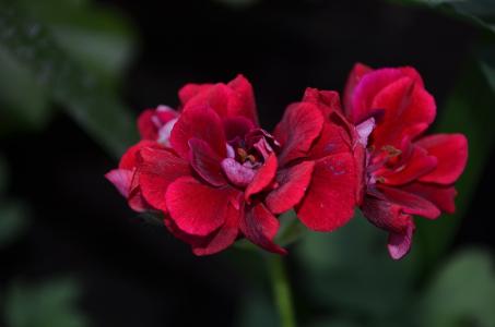 ���ÿ��Ļ��跽������ʲôʱ���� ���ÿ�����ע���������