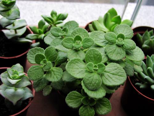 �������ж����ܳ��� ��������Է�����������Է��ڿ�����