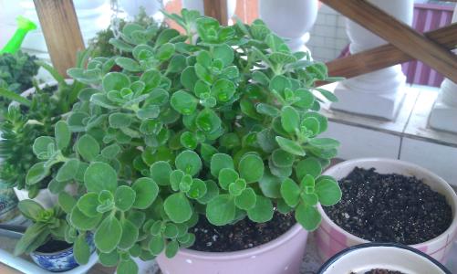 �������ж����ܳ��� ��������Է�����������Է��ڿ�����