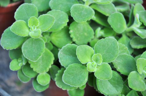 ��������ô�޼��źÿ��޼��������� ��������ô�޼�������֦�޼�ͼ