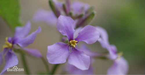 ������ʲôʱ�����ܴ�����  ��������β�����ֲ��������