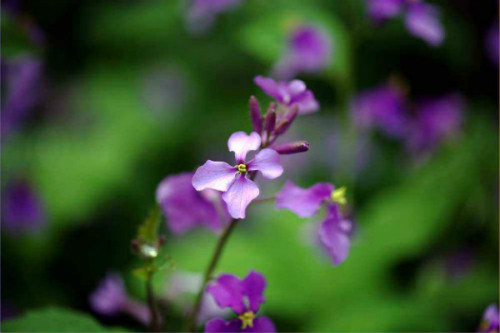 ������ʲôʱ�����ܴ�����  ��������β�����ֲ��������