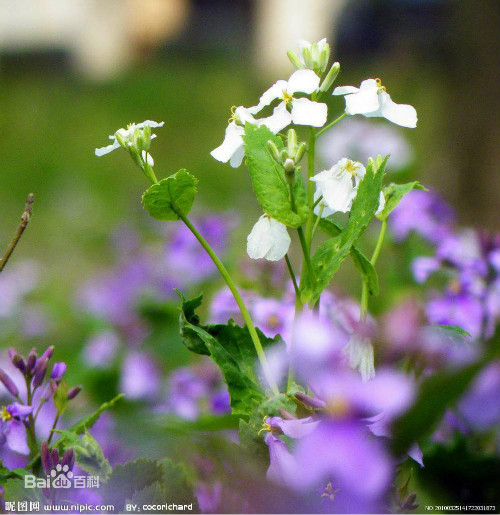 ������ʲôʱ�����ܴ�����  ��������β�����ֲ��������