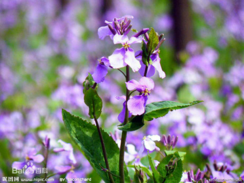 ������ʲôʱ�����ܴ�����  ��������β�����ֲ��������