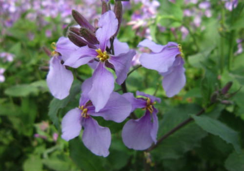 ������ʲôʱ�����ܴ�����  ��������β�����ֲ��������