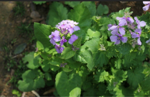 ������ʲôʱ�����ܴ�����  ��������β�����ֲ��������