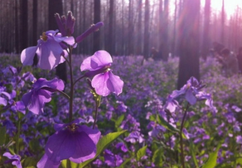 ������ʲôʱ�����ܴ�����  ��������β�����ֲ��������