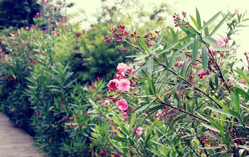 �������ж�����ˮ�Ȼ����� ������ʹ���ж��ķ�ʽ����Щ