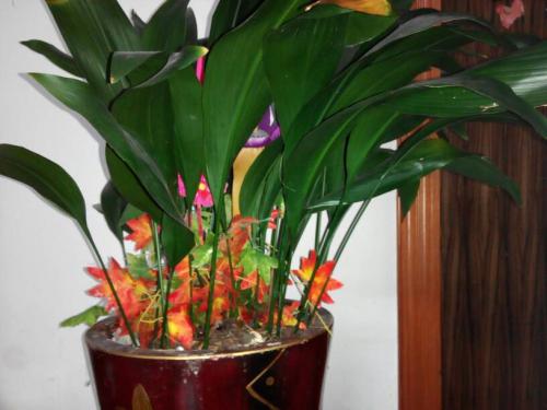 һҶ���¶����콽ˮ����ô��ˮ һҶ��������ô������������