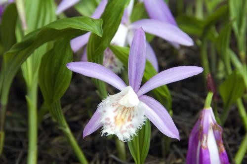 һҶ���¶����콽ˮ����ô��ˮ һҶ��������ô������������