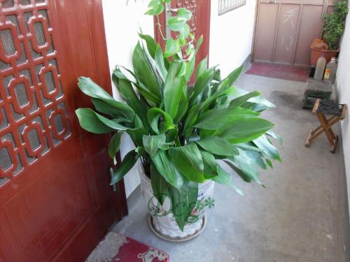 һҶ�������������ſ�����ʲôԢ�� һҶ����ʲô��ͼƬ��ȫ