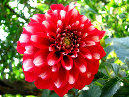 �����������������ȡ���� ������ʲôʱ������ֲ����