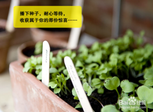 �����������������ȡ���� ������ʲôʱ������ֲ����