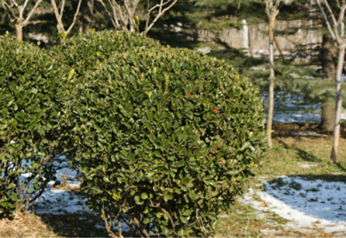 �����ֶ�������ˮ������ʲô���� ����������ʲôƷ��