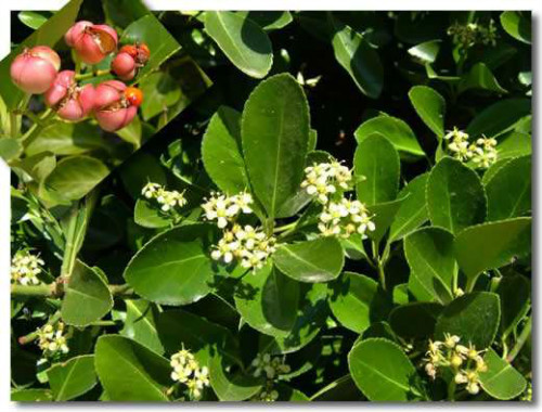 �����ֶ�������ˮ������ʲô���� ����������ʲôƷ��