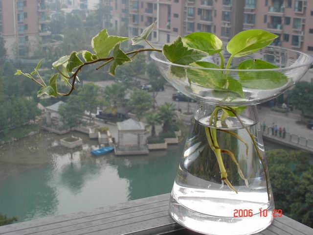 ������ˮ����ô�����췽����ע������