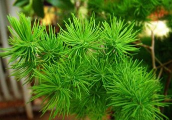 �������ж����ʺ�����������?�����������ɺ�������ڷ�λ��