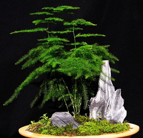 �������ж����ʺ�����������?�����������ɺ�������ڷ�λ��