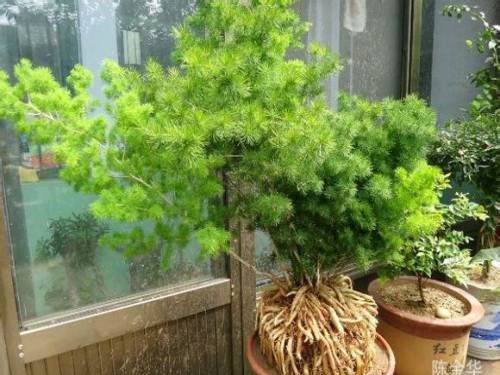 �������ж����ʺ�����������?�����������ɺ�������ڷ�λ��