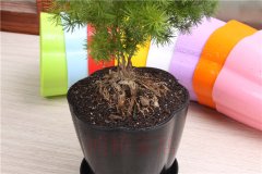 �������辰���������෽��ͼƬ��ȫ