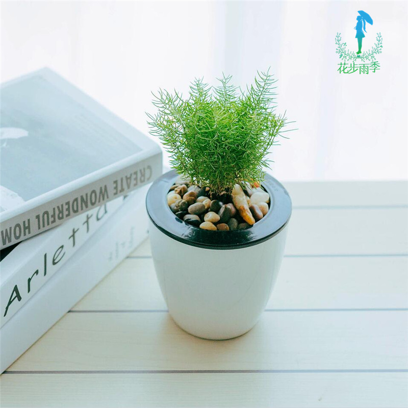 �������辰�ڷŷ�ˮ�����ڷ��ĸ�����ã�