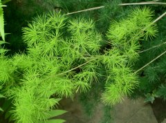 ��������ô����ˮ��������