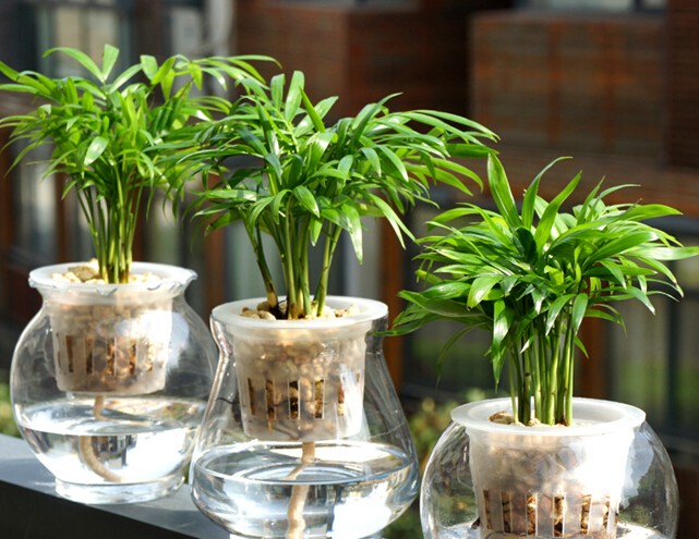 ����Ҭ����ô�����ÿ� ����Ҭ�ӿ���ˮ���𷽷���ע������