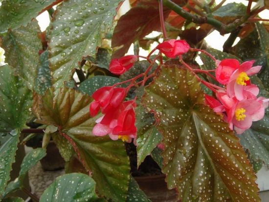 ��ں���ʲôʱ�򿪻� Ϊʲô��ں��Ĳ�����ԭ�򼰽���취