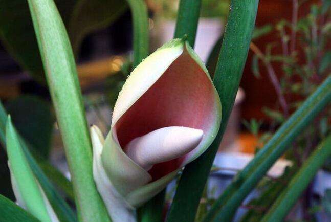 껨𣿿Ǻͷ𣿽껨ͼƬԢ