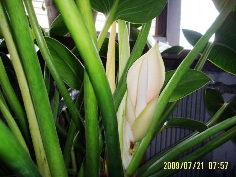 껨𣿿Ǻͷ𣿽껨ͼƬԢ