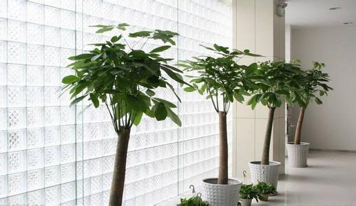 �����ܰ�ҡǮ���ڼ����мɻ��� ��֪��ҡǮ���ڼ�λ�ý��ɿ�����